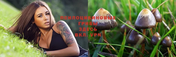 индика Армянск