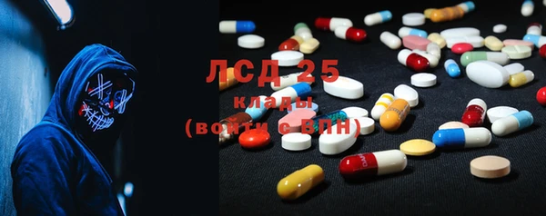индика Армянск