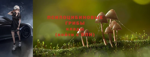дживик Арсеньев