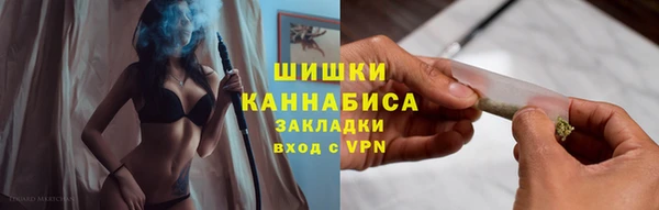 PSILOCYBIN Аркадак