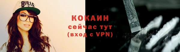индика Армянск