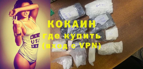 индика Армянск