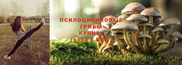 PSILOCYBIN Аркадак