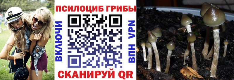 блэк спрут маркетплейс  Белебей  Псилоцибиновые грибы мицелий  дарнет шоп 